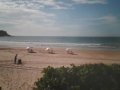 Armação dos Búzios - Geribá beach