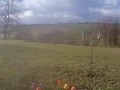 Earby - owce, kury