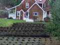 Sequim - Purple Haze Lavender Farm