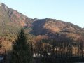 Marquartstein