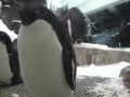 San Diego - SeaWorld