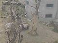Chengdu, Wolong - Rezerwat Pandy Wielkiej