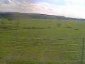 Kaufbeuren - konie