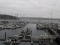 Friday Harbor