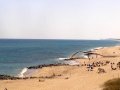 Boynton Beach