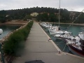 Soline