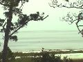 St. Teresa Beach
