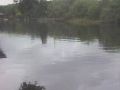 Tampa - Hillsborough River