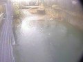 Toledo Zoo