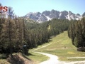Vars