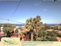 Teneryfa - Icod de los Vinos