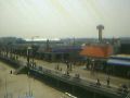 Wildwood