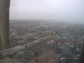 Worcester - Sokół wędrowny
