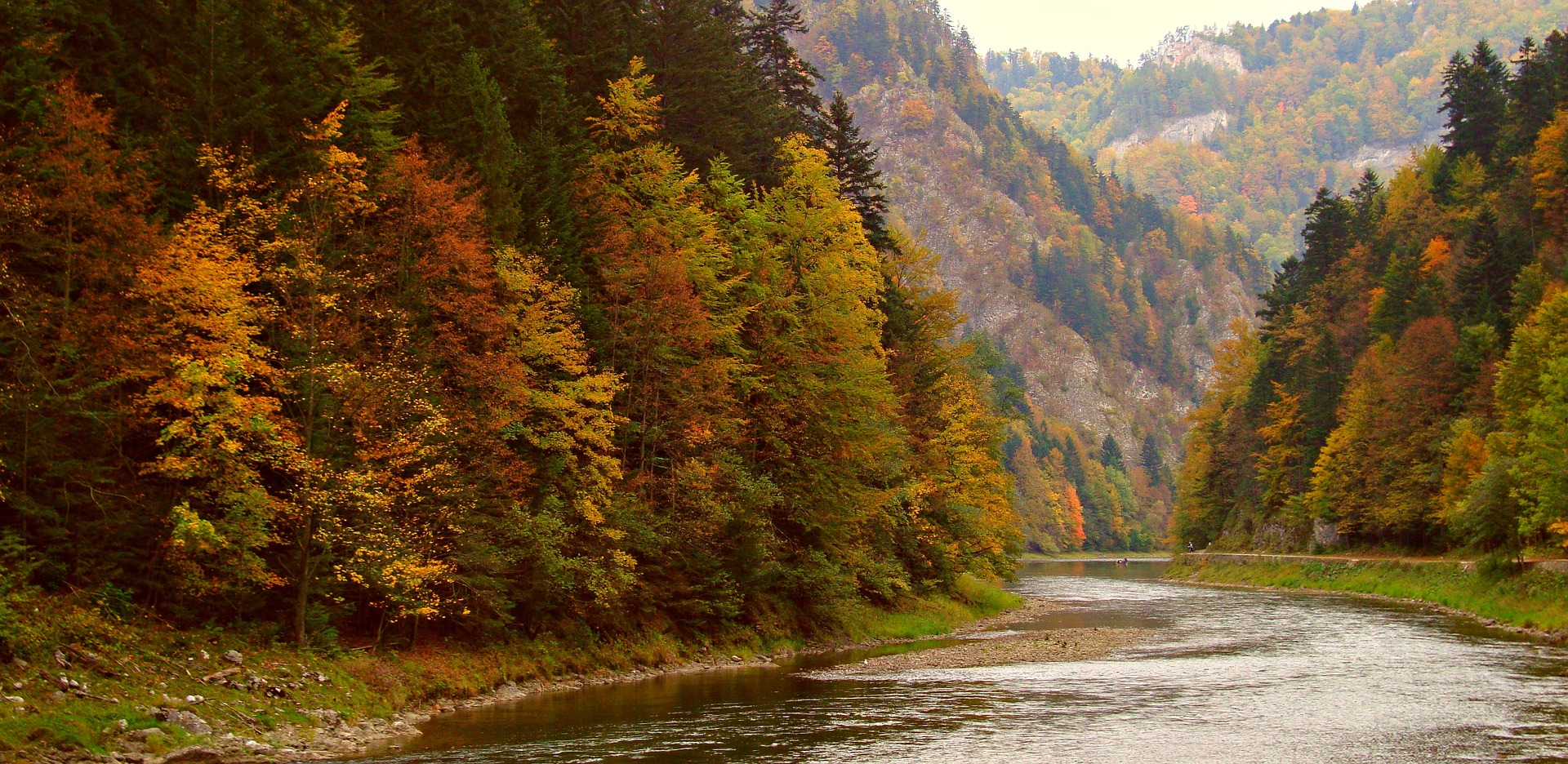 Pieniny na żywo