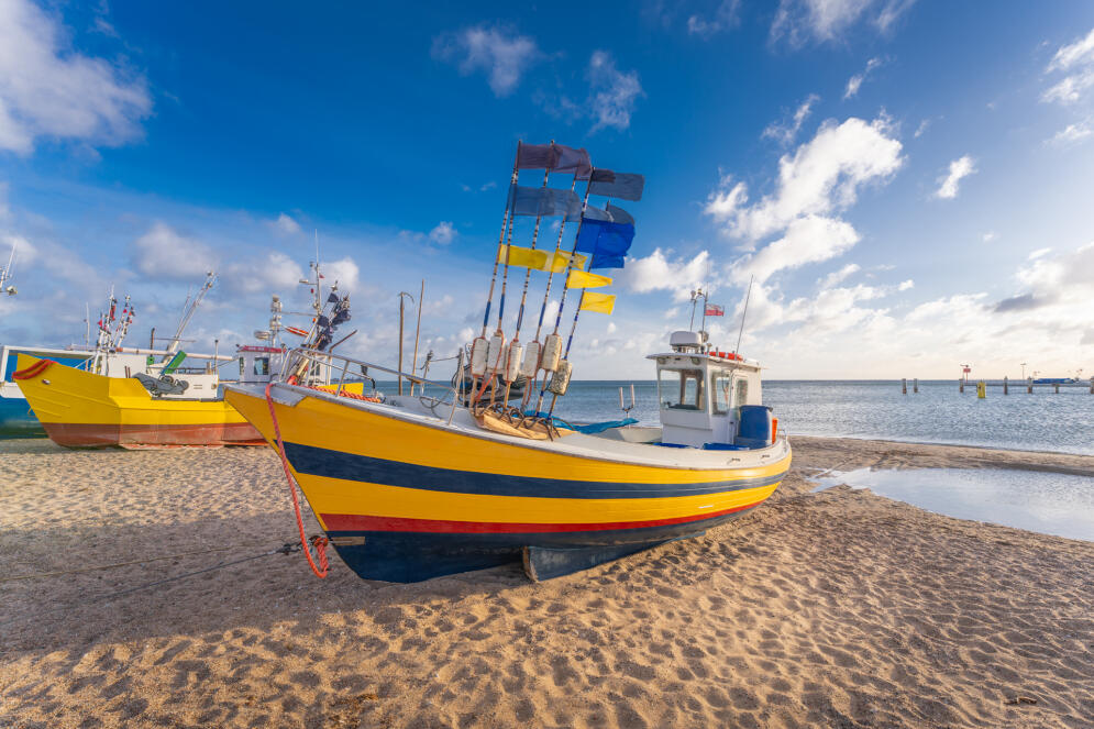 Majówka 2026. Co podglądać na żywo przez kamery?