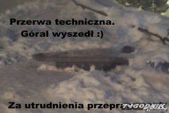 12162138201014.jpg