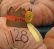 Circleville Pumpkin Show