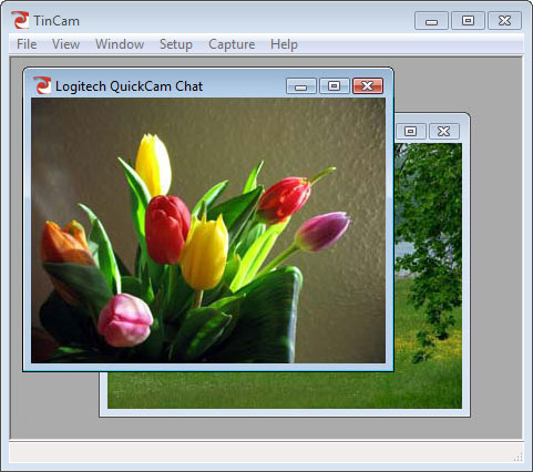 Webcam Uploader 2004
