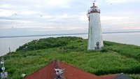Long Island Sound - Falkner Island - Focas