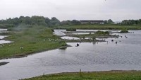 Slimbridge - Mokradła