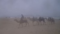 Esauira - Playa