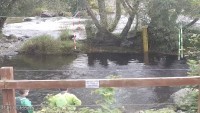 Llangollen - Río Dee