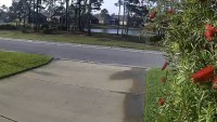 Pensacola - Pandion Trail