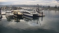 Bermagui - Marina