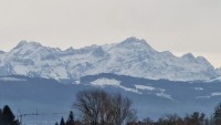 Eriskirch - Bodensee