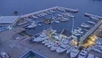Miura - Seabornia Marina