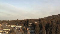 Homer - Lotnisko