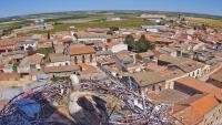 Madrigal de las Altas Torres - Bociany