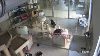 Schuttrange - Cat Hotel
