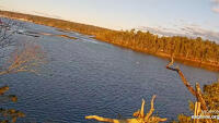 Bremen - Hog Island