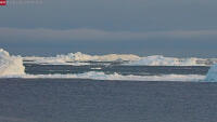 Ilulissat - Icebergs