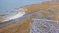 Barnegat Light - Osprey nest