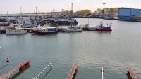 Harbour