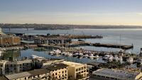 Auckland - Viaduct Harbour & Harbour Bridge