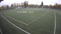Vignette