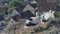 Miniaturansicht