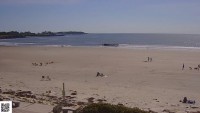Higgins Beach
