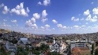 Oliveira - Panorama