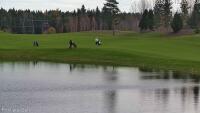 Pirkkala - Golfplatz