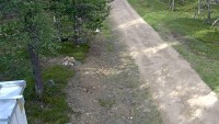 Saariselkä