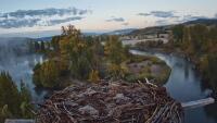 Steamboat Springs - Osprey lizdas
