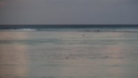 Tahití - Teahupoo Surf Point