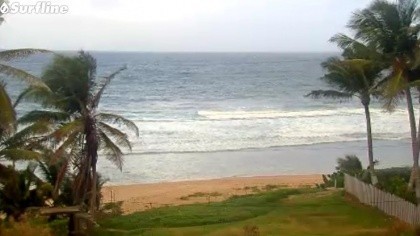 Cam barbados live