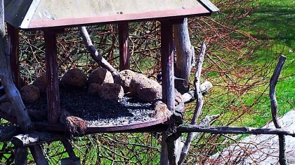 Rzeka Drwęca Nature Reserve, Ilawa - Webcams