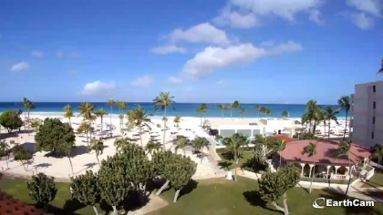 Eagle Aruba - Cámaras web, webcam