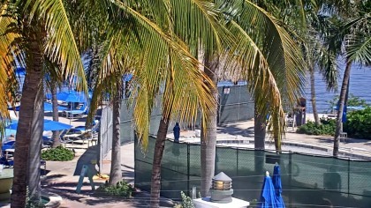 south seas island resort live cam